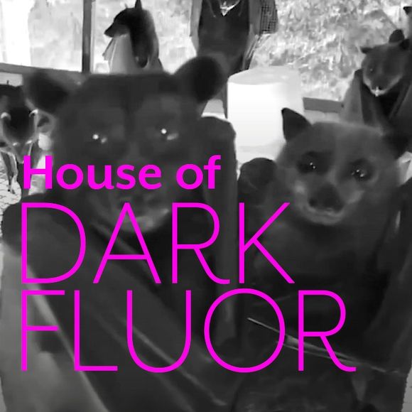 House of DarkFluor vol.1